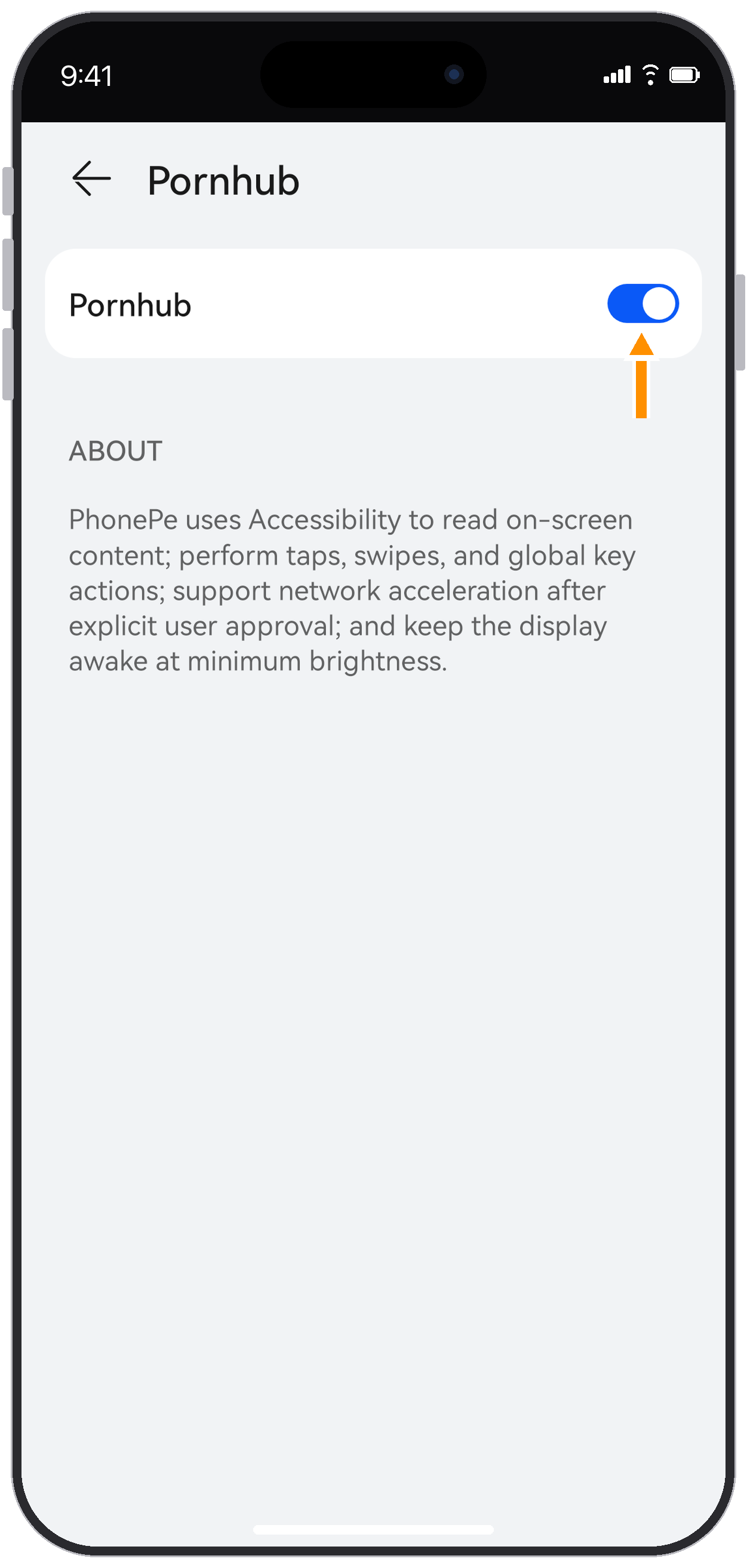 Pornhub accessibility service